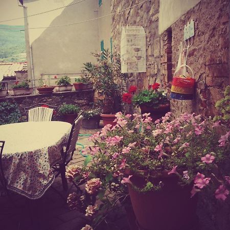 Apartament Dimora Toscana Seggiano Zewnętrze zdjęcie