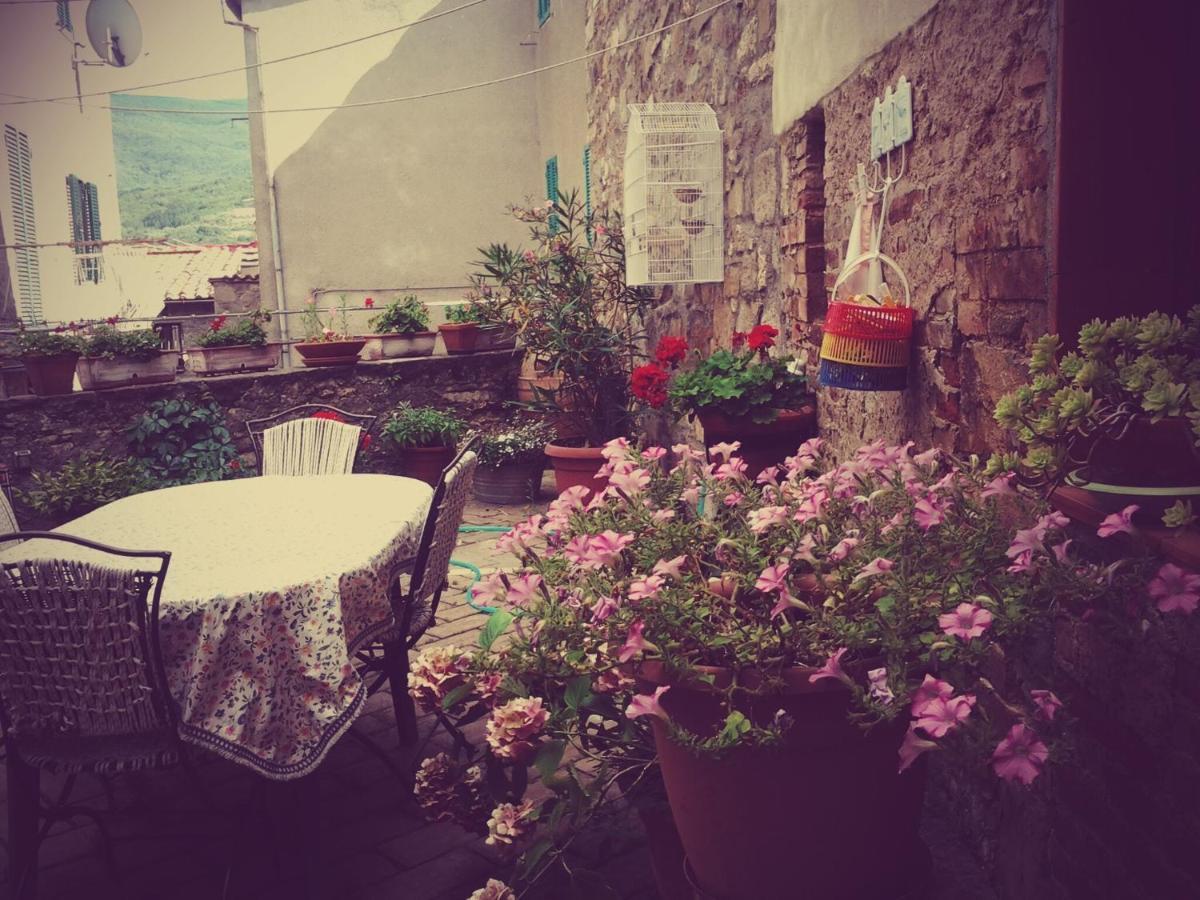 Apartament Dimora Toscana Seggiano Zewnętrze zdjęcie