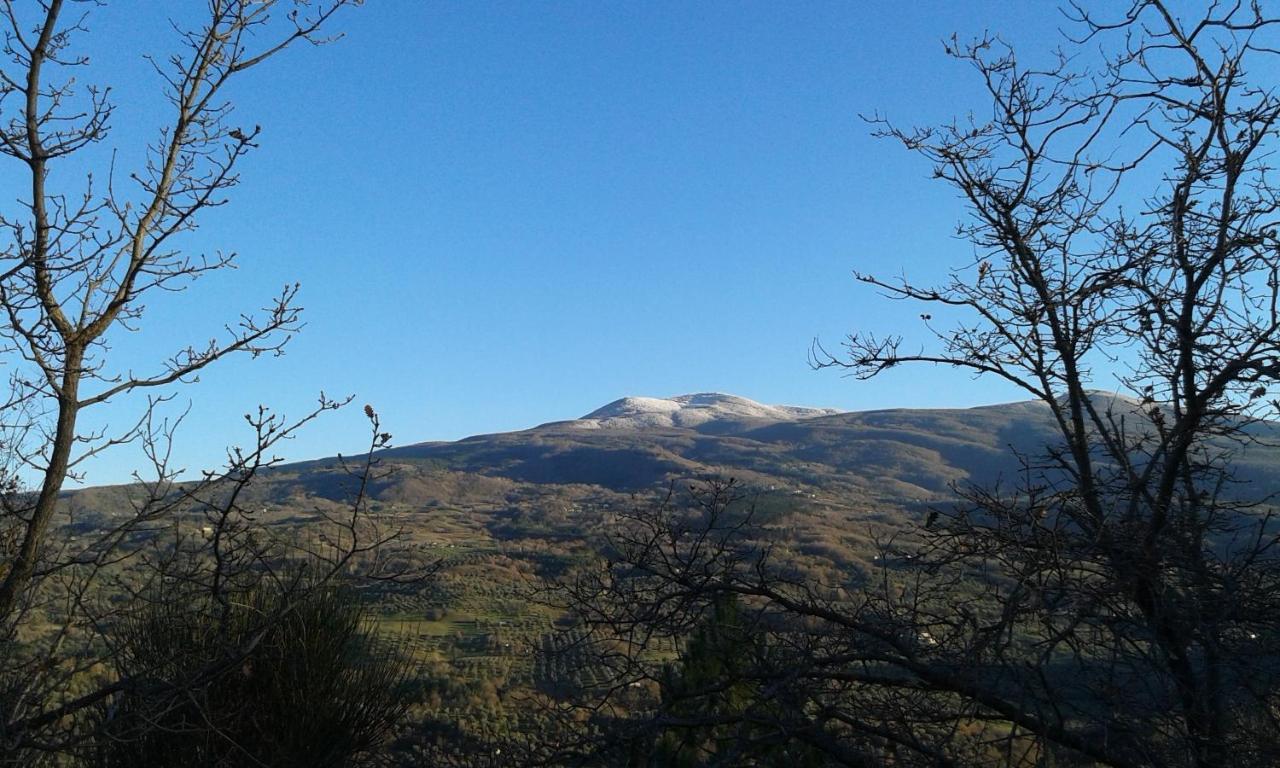 Apartament Dimora Toscana Seggiano Zewnętrze zdjęcie